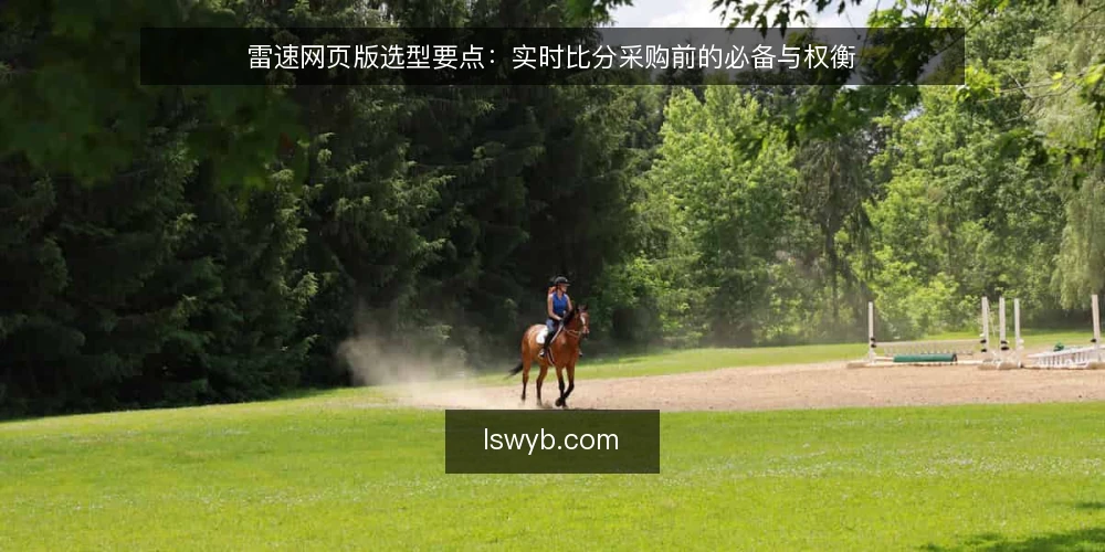 雷速网页版选型要点：实时比分采购前的必备与权衡 — 运营痛点：实时比分不准的代价 配图